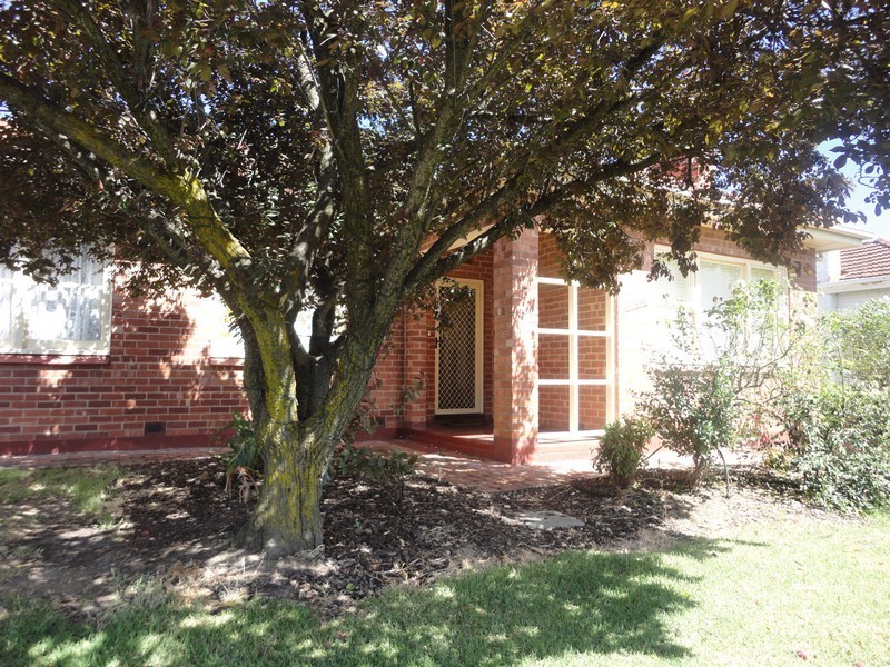 16 Swinburne Avenue, Plympton Park SA 5038