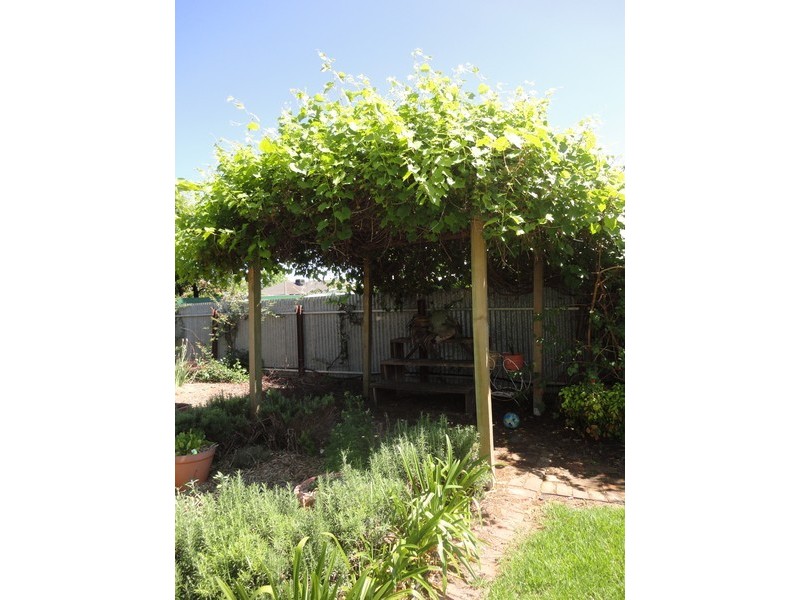 16 Swinburne Avenue, Plympton Park SA 5038