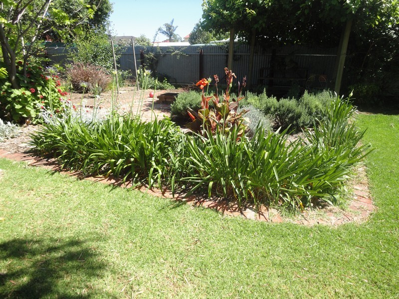 16 Swinburne Avenue, Plympton Park SA 5038