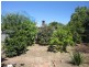 16 Swinburne Avenue, Plympton Park SA 5038