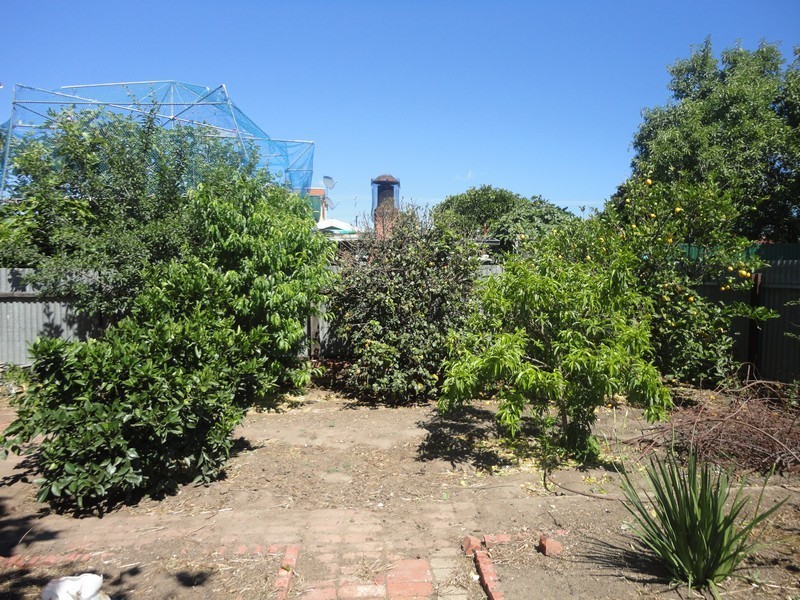 16 Swinburne Avenue, Plympton Park SA 5038