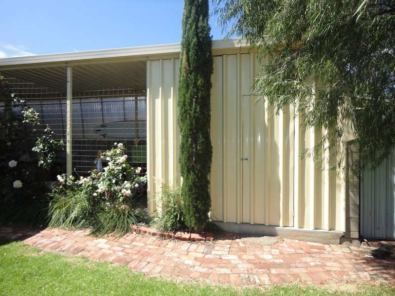 16 Swinburne Avenue, Plympton Park SA 5038