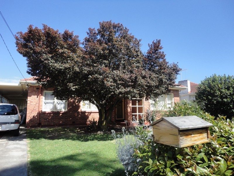 16 Swinburne Avenue, Plympton Park SA 5038