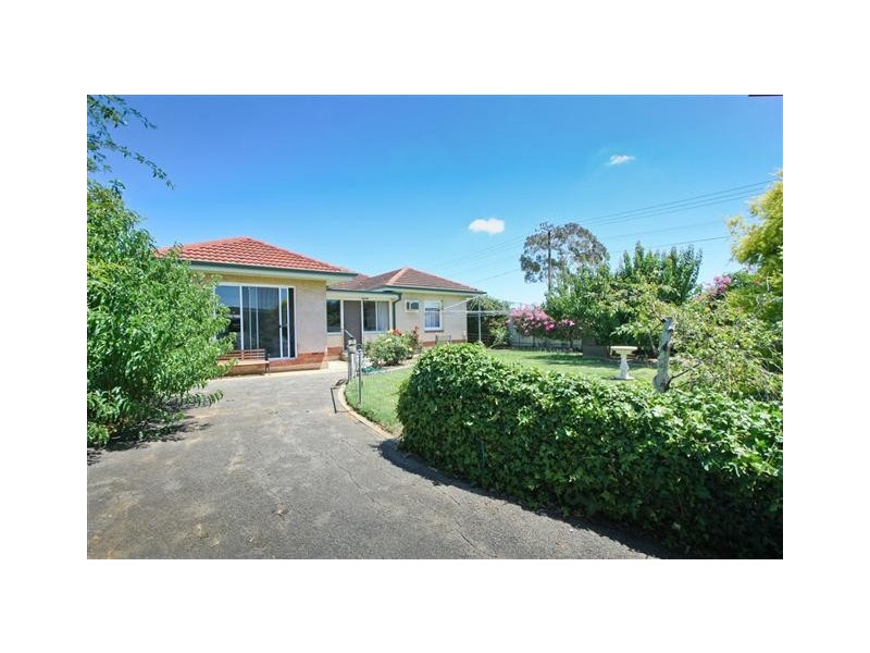 19 Nelson Street, South Plympton SA 5038