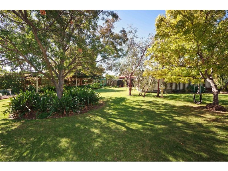 23 Douglas Street, Lockleys SA 5032