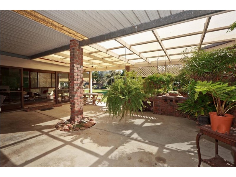 23 Douglas Street, Lockleys SA 5032