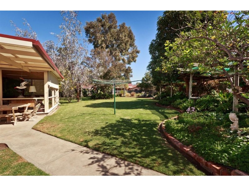 23 Douglas Street, Lockleys SA 5032