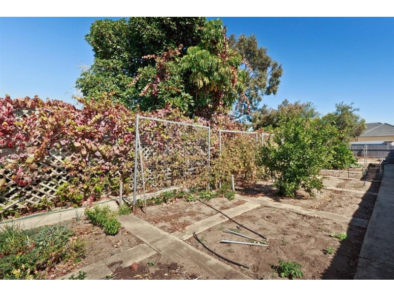 23 Douglas Street, Lockleys SA 5032