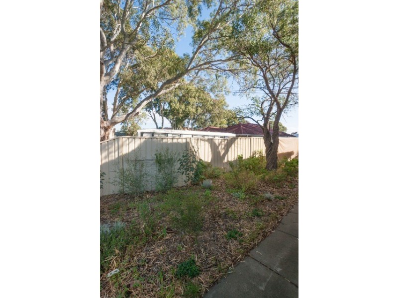 11a Creighton Avenue, Morphett Vale SA 5162