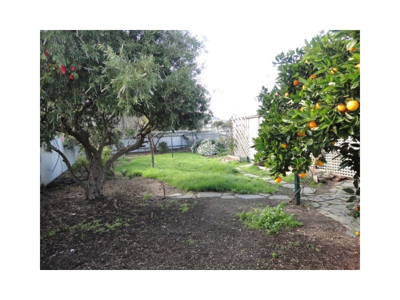 15 Kellett Street, Semaphore Park SA 5019