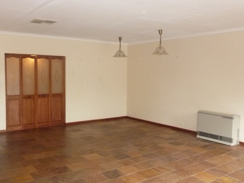 20 Vynland Drive, Flagstaff Hill SA 5159