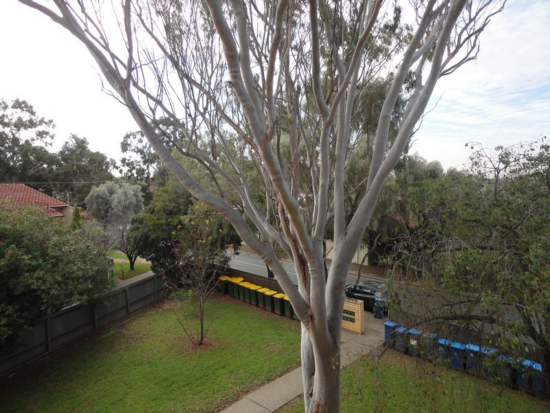 5/21 Laught Avenue, Black Forest SA 5035