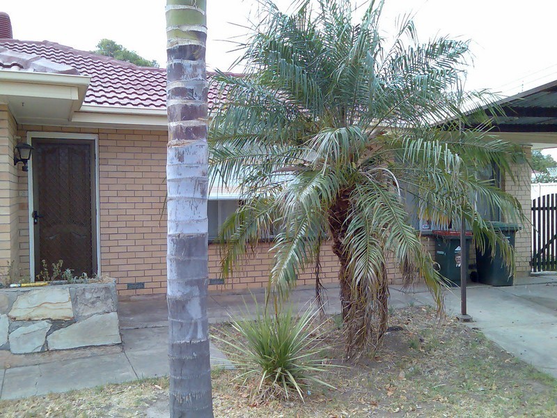 13 Perrin Street, Oaklands Park SA 5046