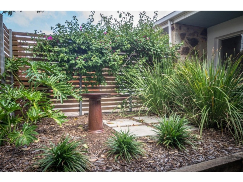 2/2a Murray Street, Hove SA 5048