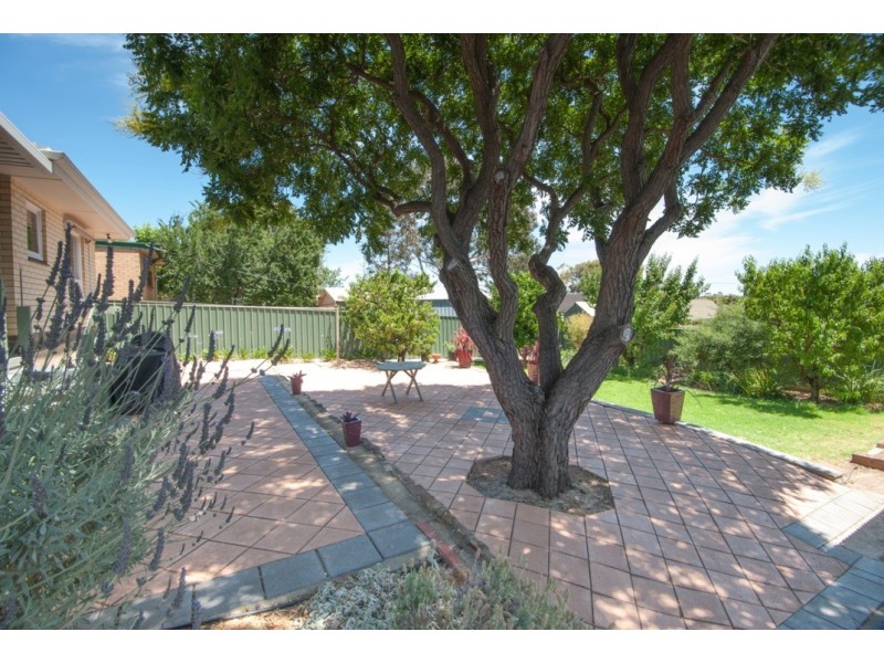 22 Teusner Drive, Morphett Vale SA 5162