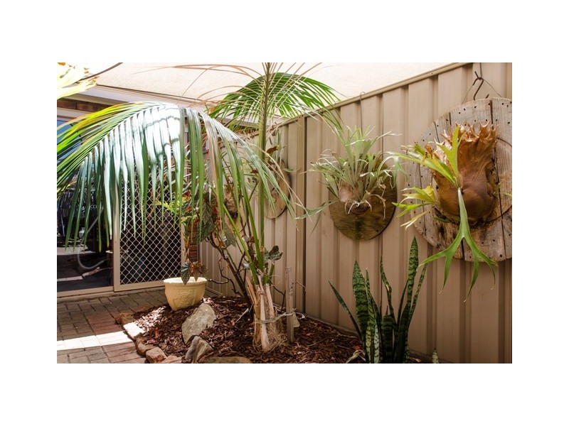 14 Plymouth Ave, Sturt SA 5047