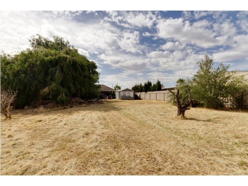 9 Inverell Avenue, North Plympton SA 5037