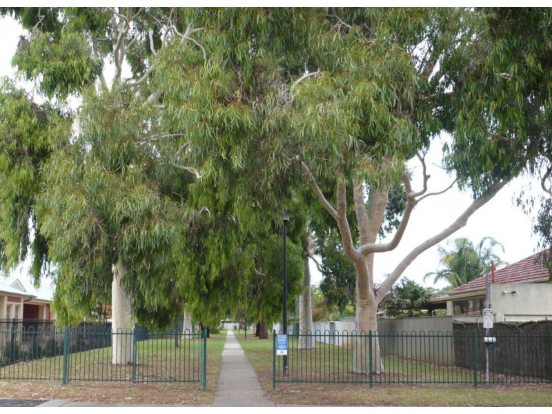 4 Beadnall Terrace, Glengowrie SA 5044