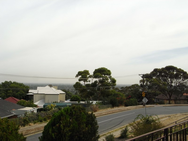 7 Morgan Avenue, Seaview Downs SA 5049