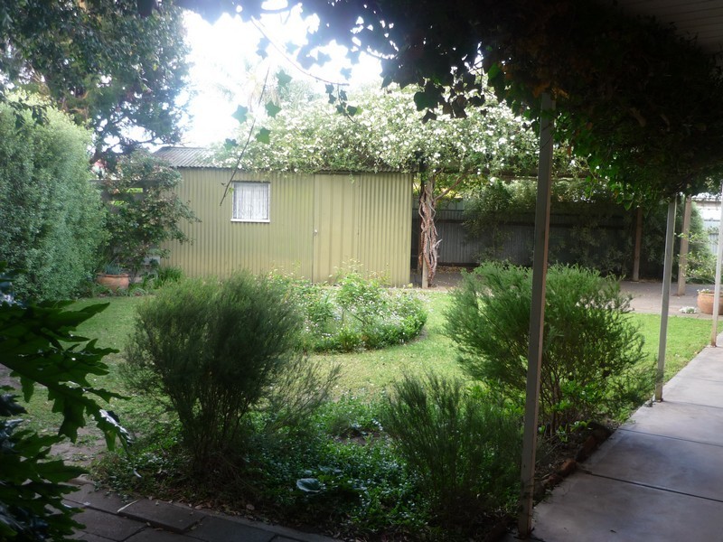 49 Clifford Street, Brooklyn Park SA 5032