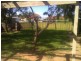 125 Kingston Avenue, Melrose Park SA 5039