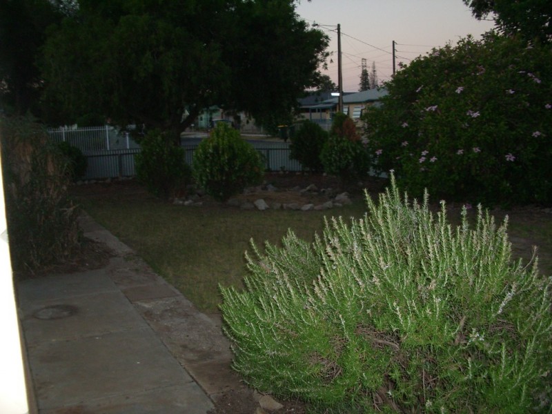 17 Arkaba Street, Taperoo SA 5017