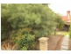 226 Frome Street, Adelaide SA 5000