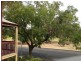 113 Barton Terrace West, North Adelaide SA 5006