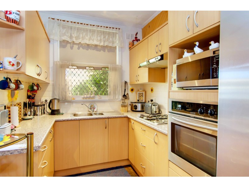 8 Plew Avenue, Morphettville SA 5043