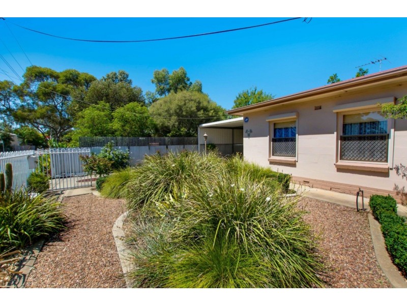 8 Plew Avenue, Morphettville SA 5043