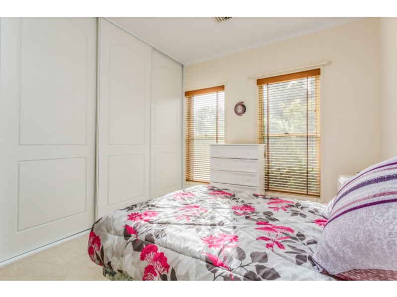14 Lakewood Court, Mawson Lakes SA 5095