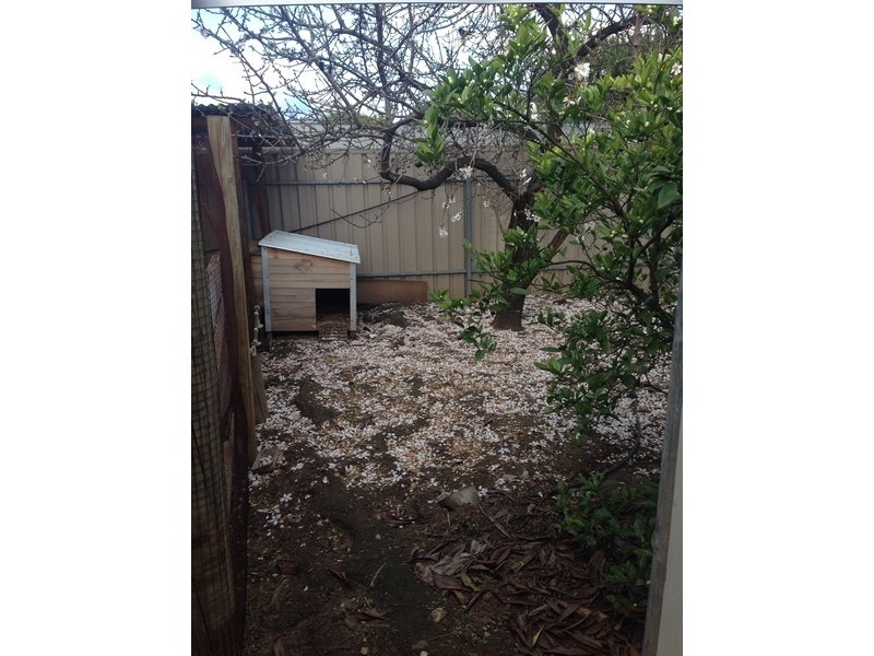 30 Brenton Avenue, South Plympton SA 5038