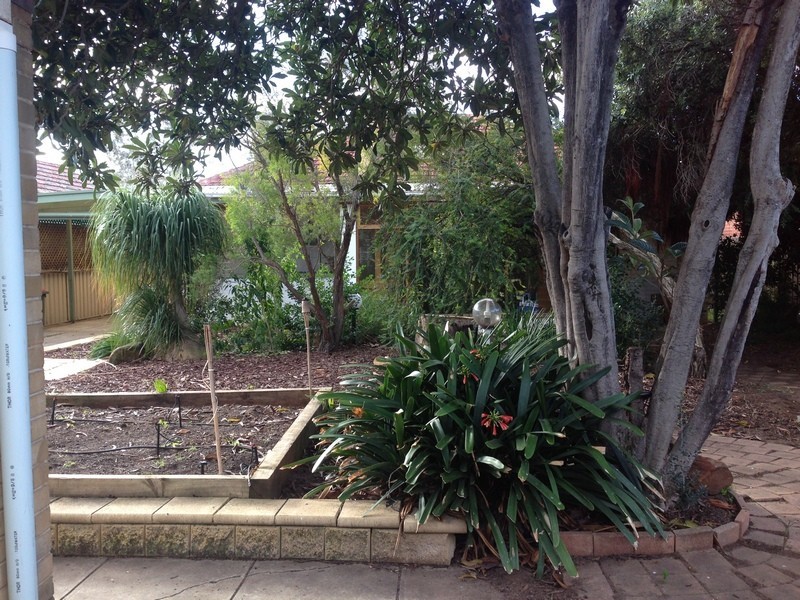 30 Brenton Avenue, South Plympton SA 5038