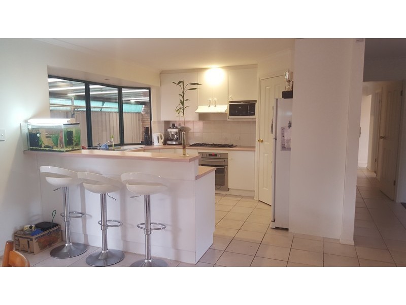21 Pritchard Court, Camden Park SA 5038