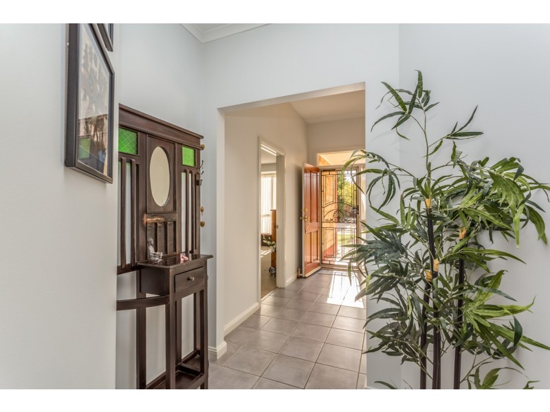 24 Grivell Road, Marden SA 5070