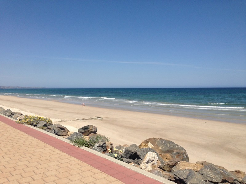 2 Phillipps Street, Somerton Park SA 5044