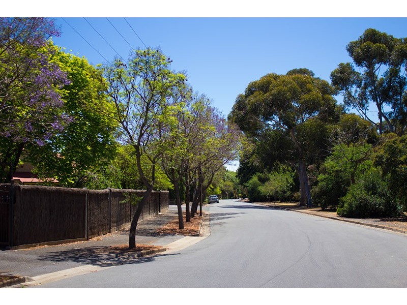 29a Jellicoe Avenue, Kings Park SA 5034