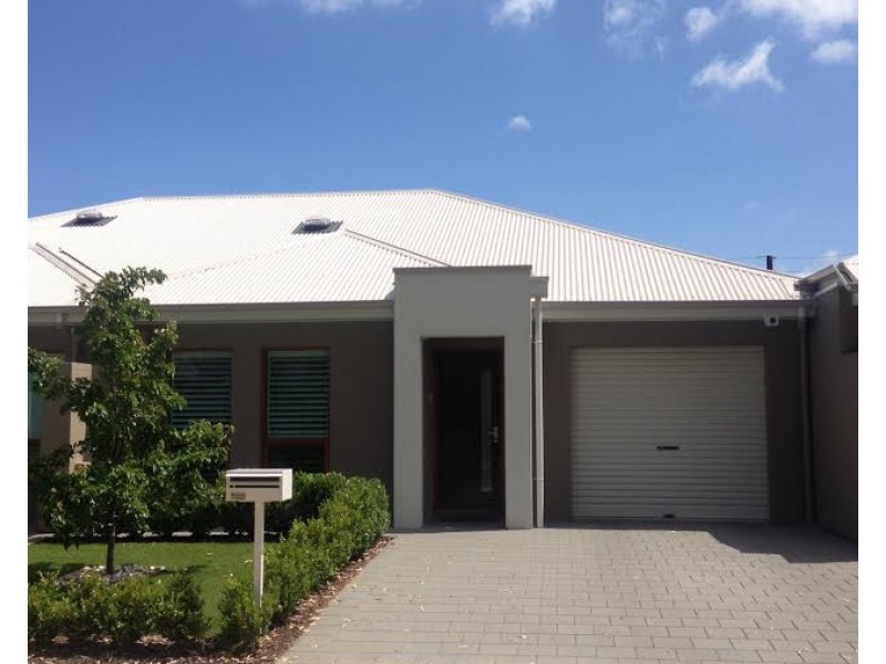 19 Conigrave Street, Oaklands Park SA 5046