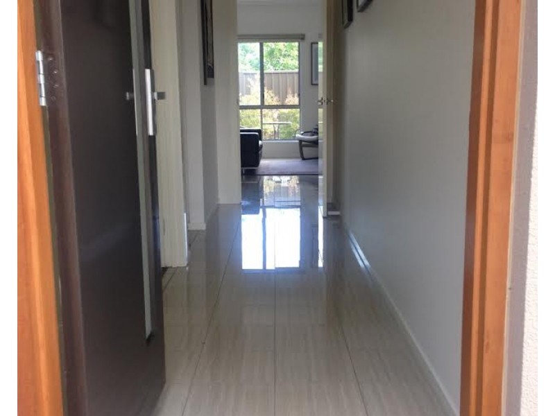 19 Conigrave Street, Oaklands Park SA 5046