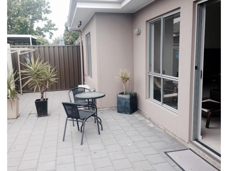 19 Conigrave Street, Oaklands Park SA 5046