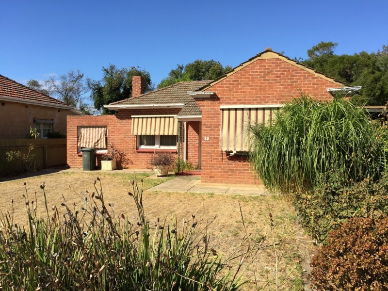 38 Garfield Avenue, Kurralta Park SA 5037
