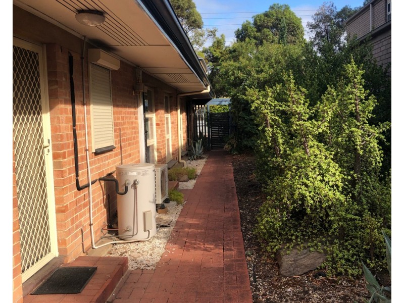 5/393 Anzac Highway, Camden Park SA 5038