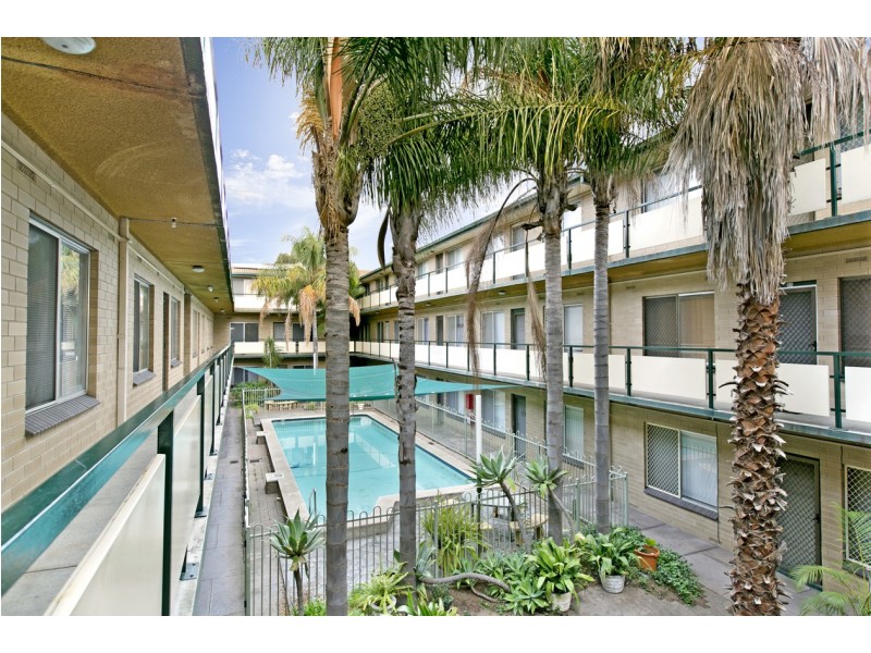 35/127 Anzac Highway, Kurralta Park SA 5037