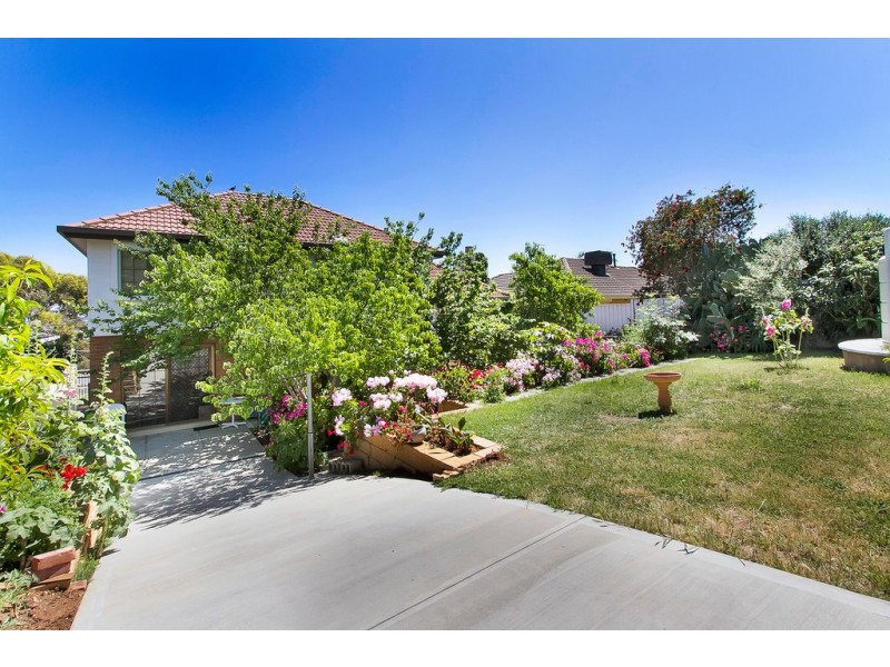 79 Fiveash Drive, Pasadena SA 5042