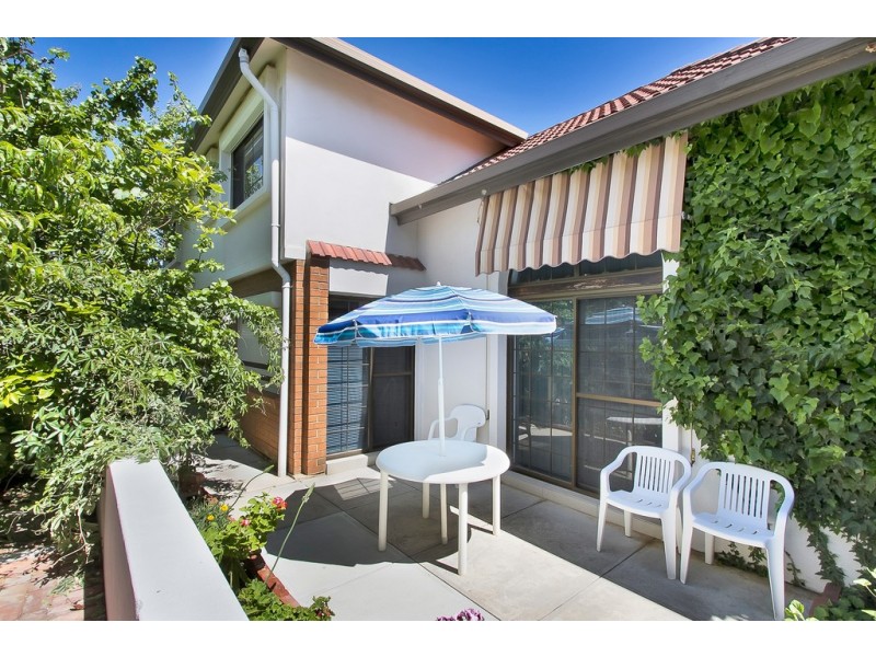 79 Fiveash Drive, Pasadena SA 5042