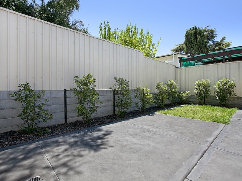 20 Alton Avenue, Gilles Plains SA 5086