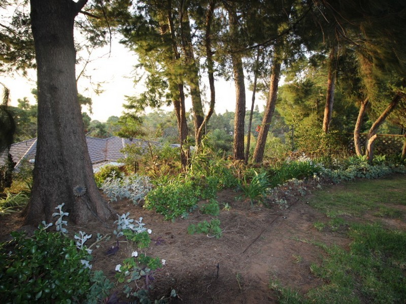 65/5 Mount Barker Road (Mira Monte Estate), Urrbrae SA 5064