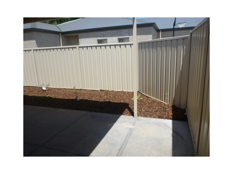 30 Shelley Avenue, Netley SA 5037