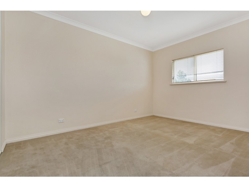 28E Delaine Avenue, Edwardstown SA 5039