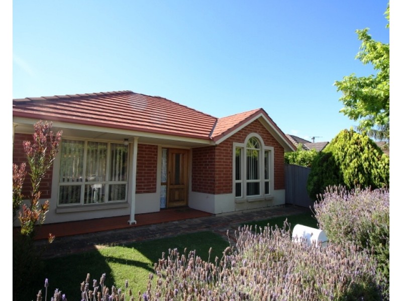 16B Bradley Grove, Mitchell Park SA 5043
